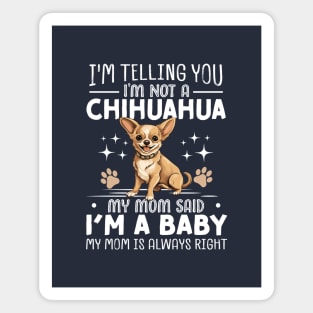 I'm telling you I'm not a chihuahua my mom said I'm a baby and my mom is always right Magnet